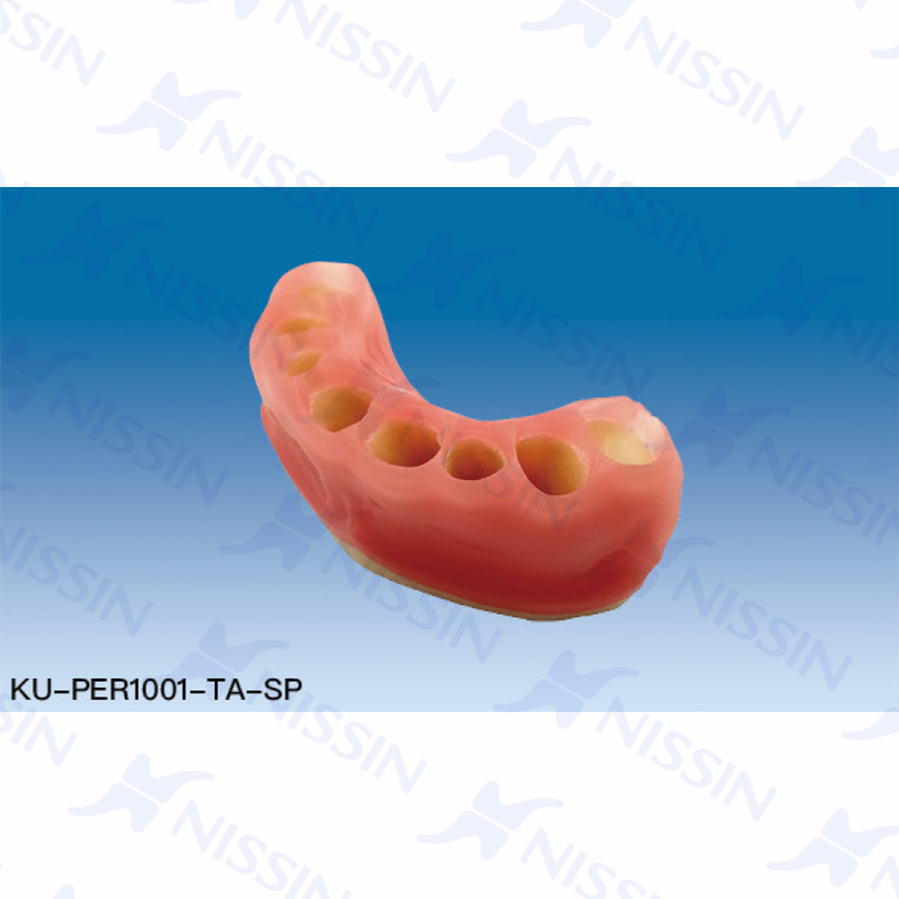 牙冠延長(zhǎng)術(shù)模型用牙齦插件